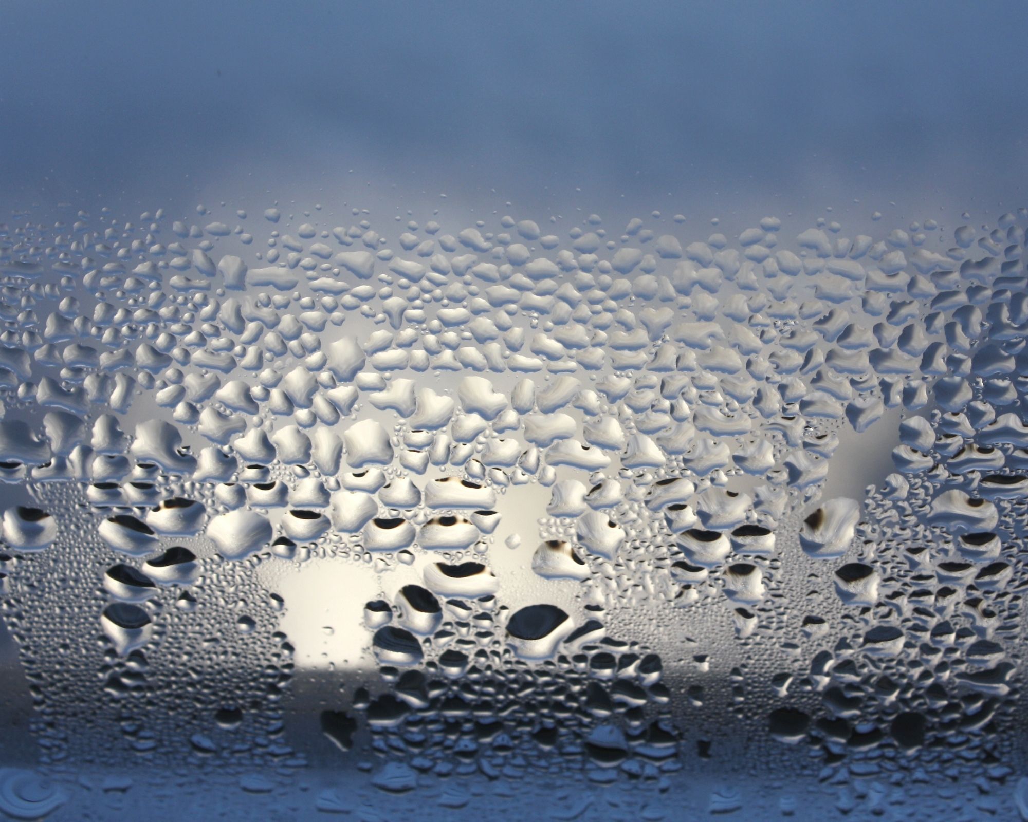 Expertise humidité Expertise humidité 06